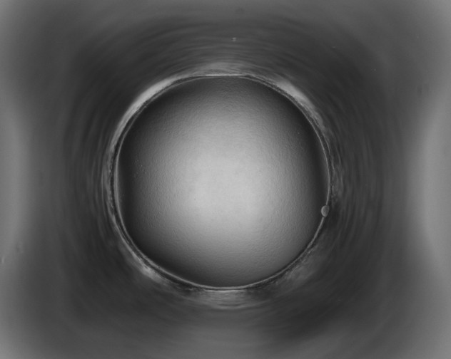 X0000087011486200704161533