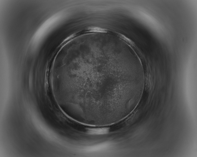 X0000087011487200704161533