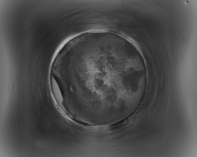 X0000087011488200704161533