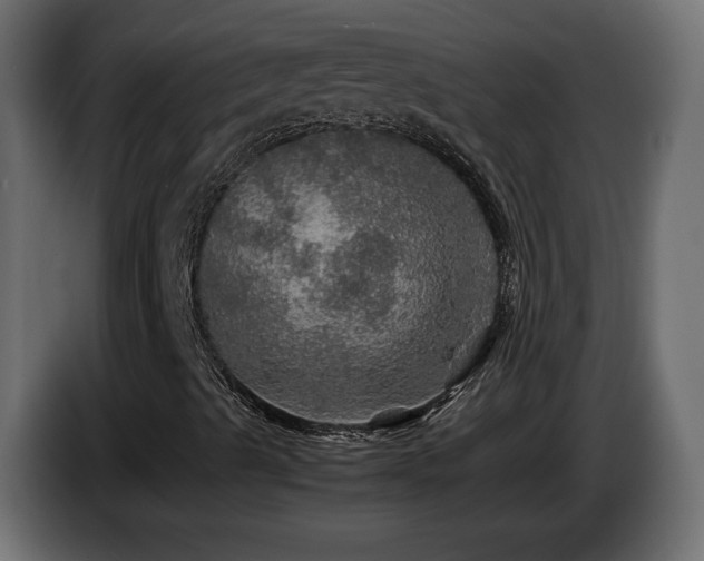 X0000087011489200704161532