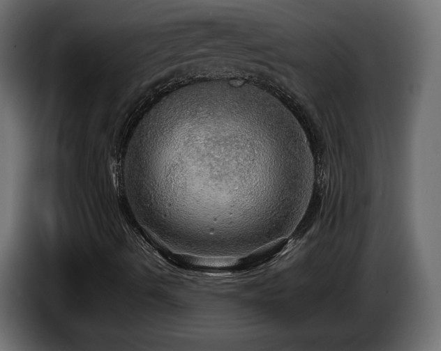 X0000087011490200704161532