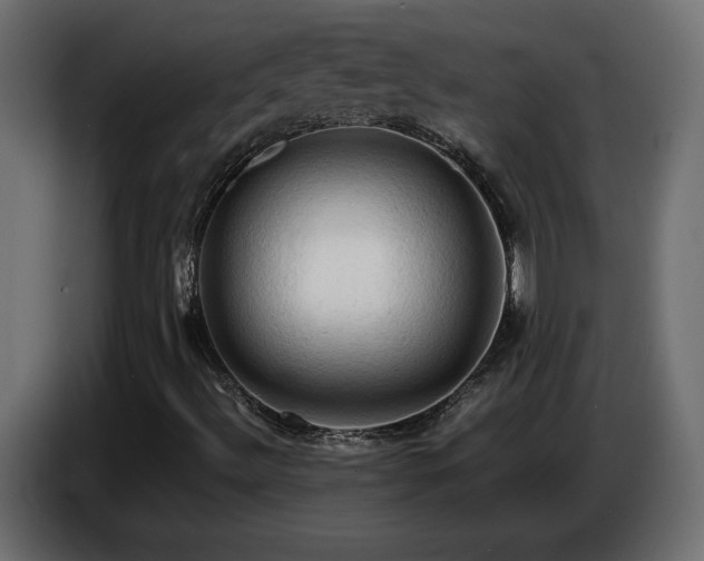 X0000087011492200704161532