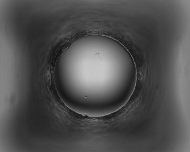 X0000087011493200704161532