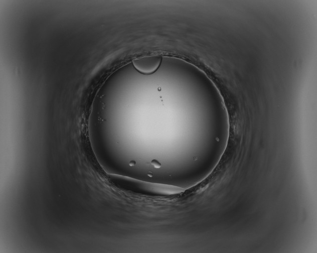 X0000087011495200704161532