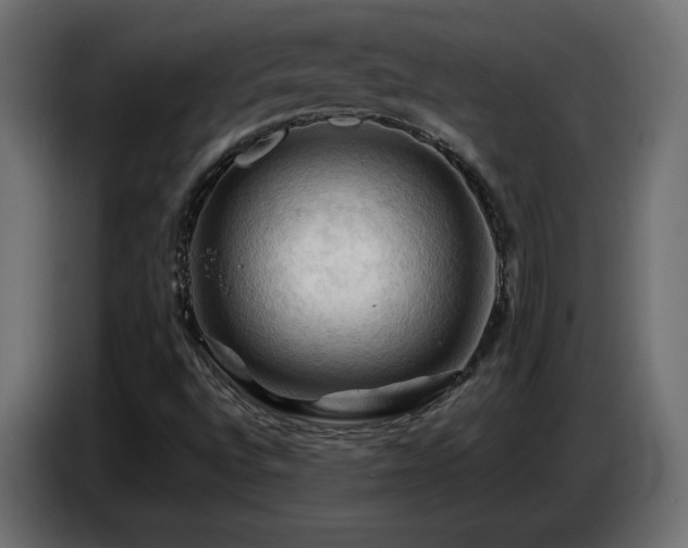 X0000087011496200704161532