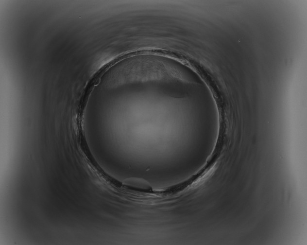X0000087011497200704161532