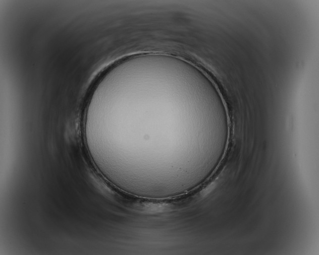 X0000087011498200704161532