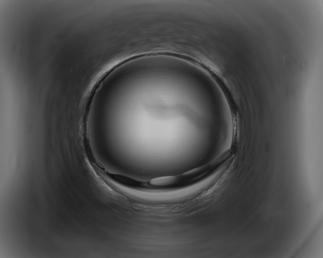 X0000087011500200704161532