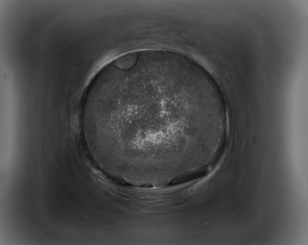 X0000087011501200704161532