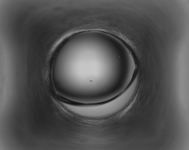 X0000087011502200704161532