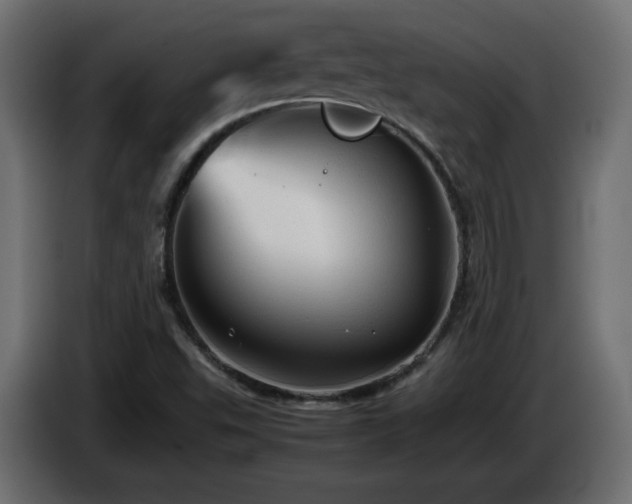 X0000087011503200704161532