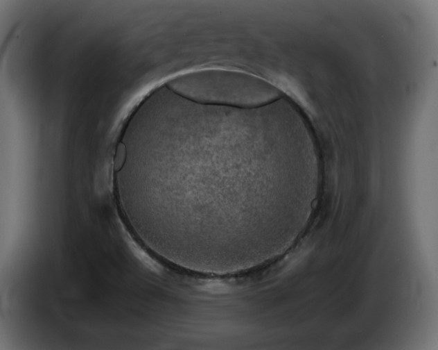 X0000087011504200704161532