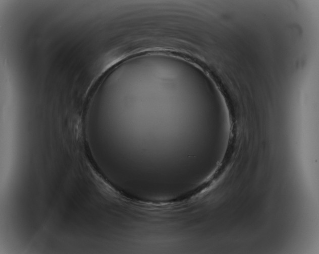 X0000087011505200704161532