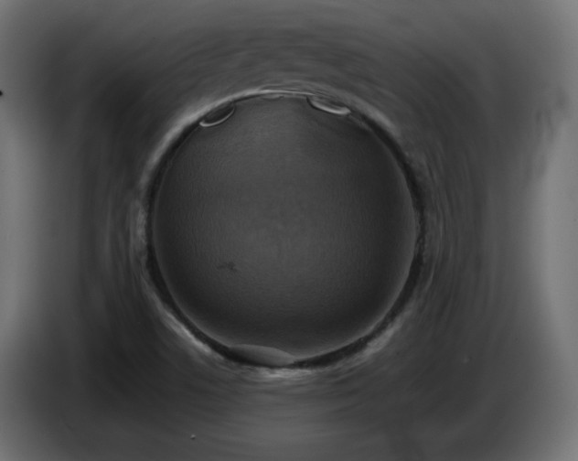 X0000087011506200704161532