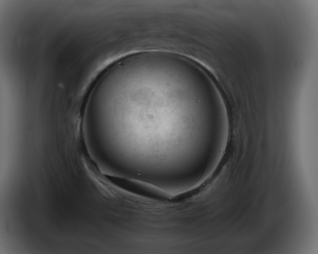 X0000087011507200704161532