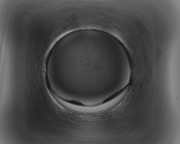 X0000087011508200704161532
