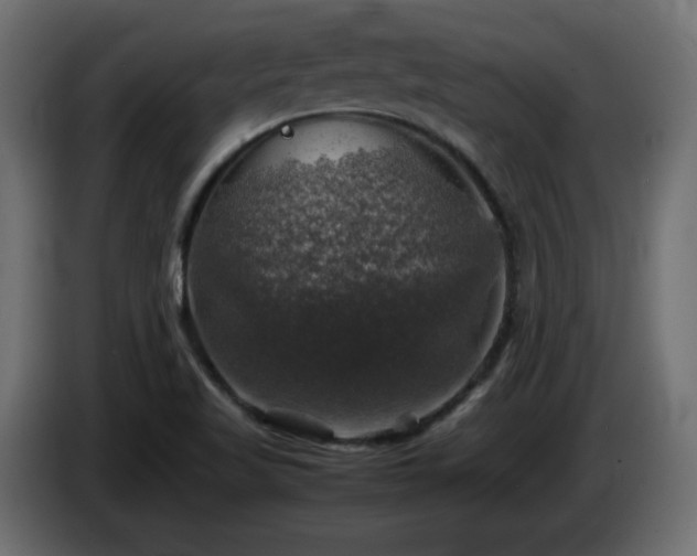 X0000087011509200704161532