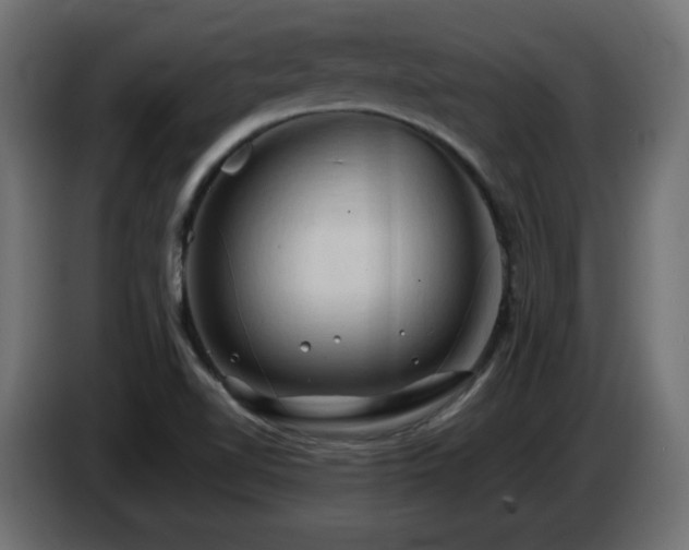 X0000087011510200704161532