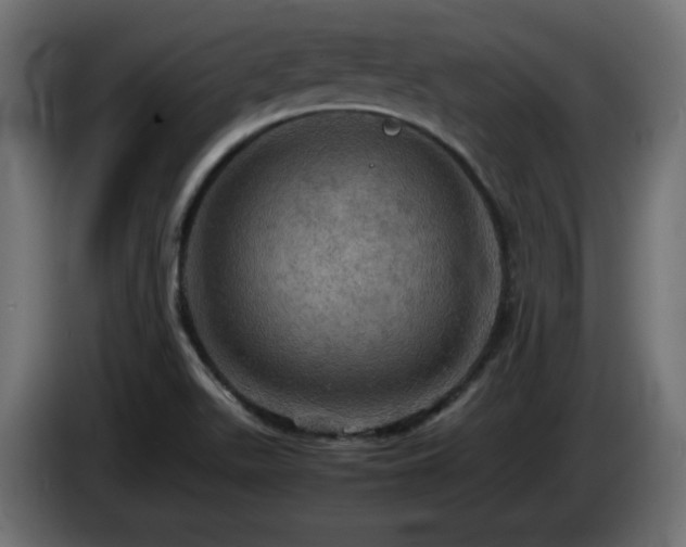 X0000087011511200704161532