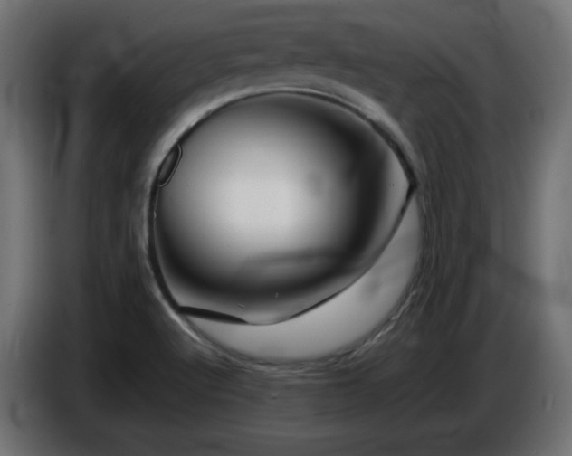 X0000087011512200704161532