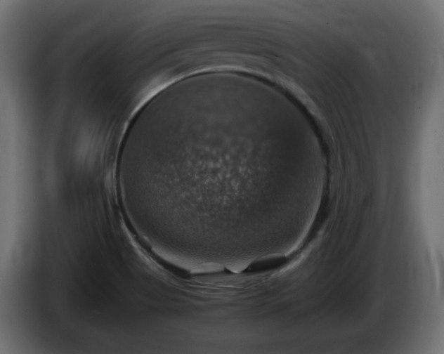 X0000087011513200704161532