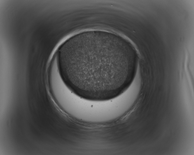 X0000087011514200704161532