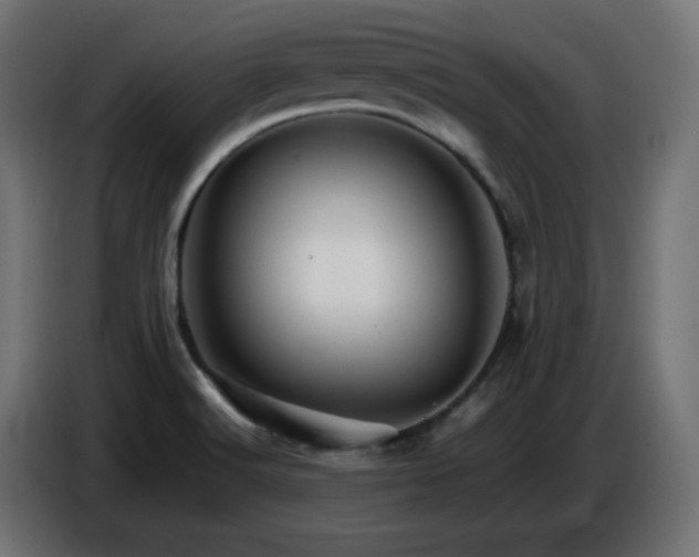 X0000087011516200704161532
