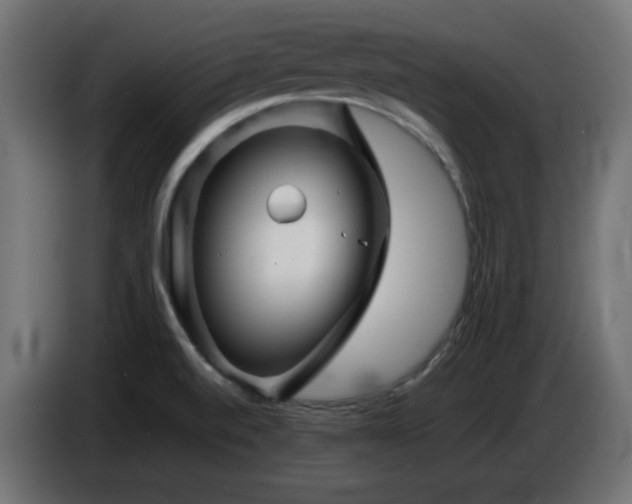 X0000087011520200704161532