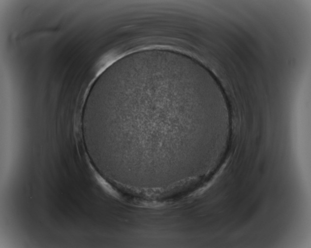 X0000087011521200704161532