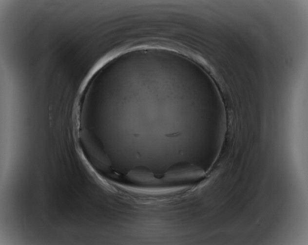 X0000087011522200704161532