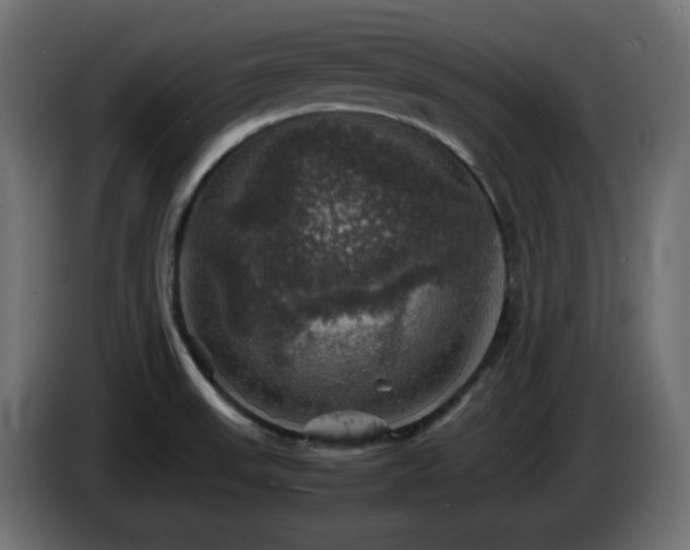 X0000087011523200704161532