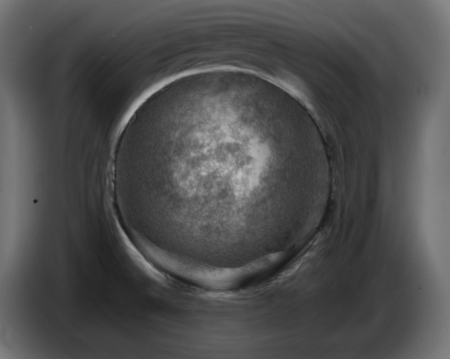 X0000087011524200704161532