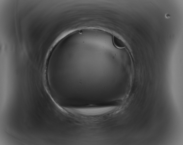 X0000087011525200704161532