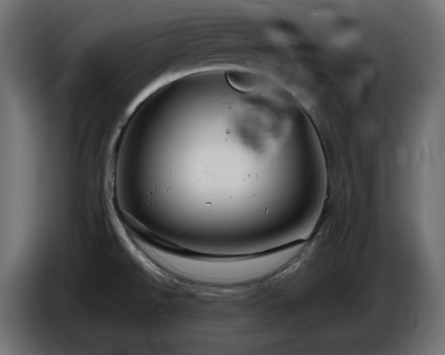 X0000087011526200704161532