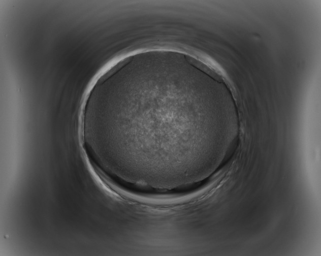 X0000087011528200704161533