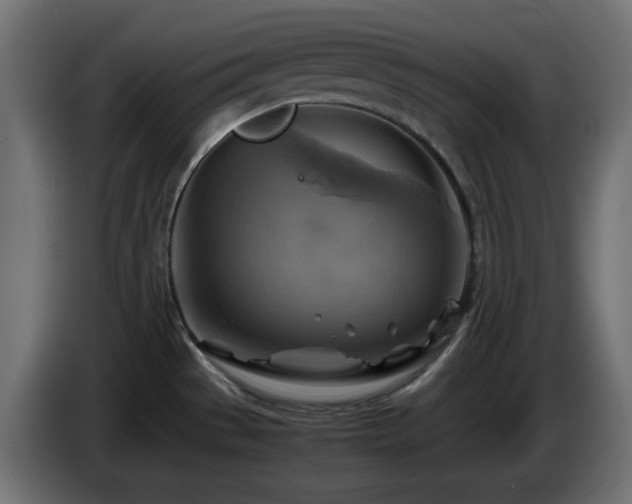 X0000087011529200704161533