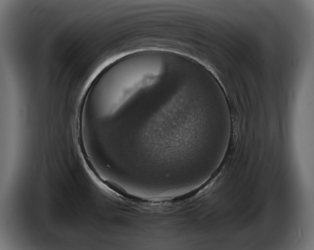 X0000087011531200704161533