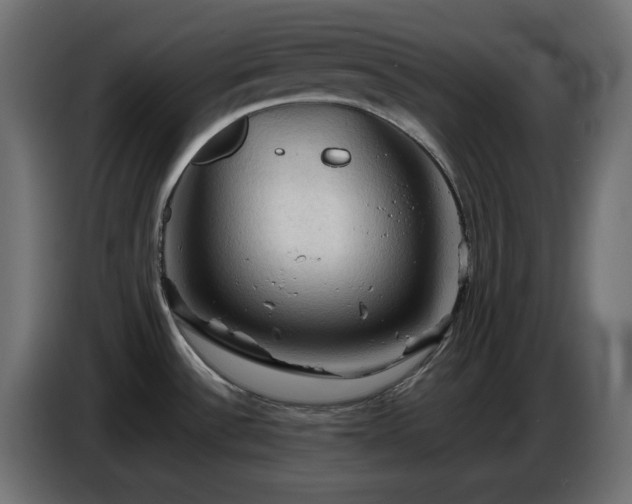 X0000087011532200704161533