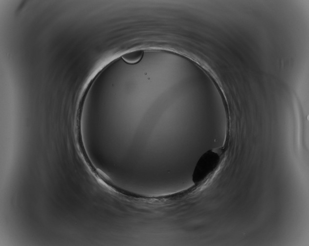 X0000087011533200704161533