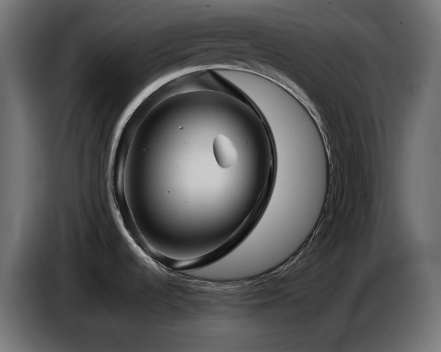 X0000087011536200704161533