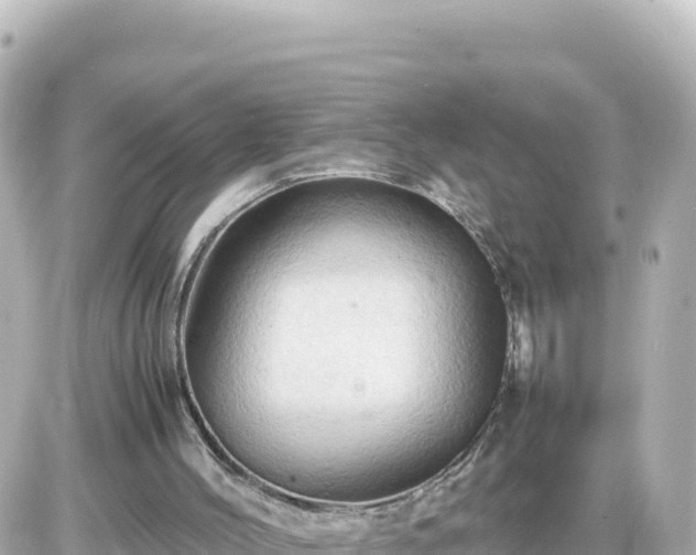 X0000087010004200704231946