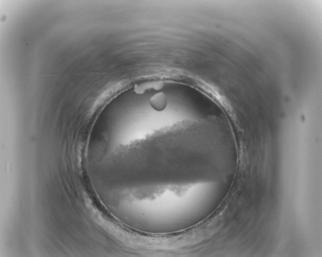 X0000087010010200704231946