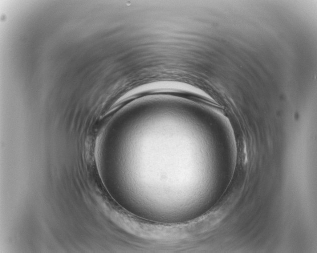X0000087010044200704231946