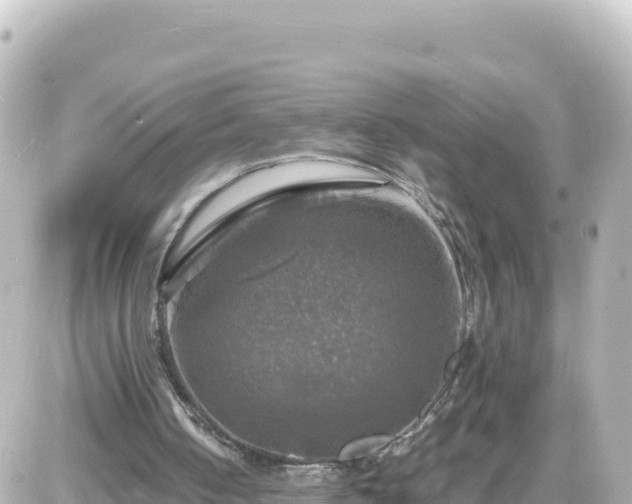 X0000087010050200704231945
