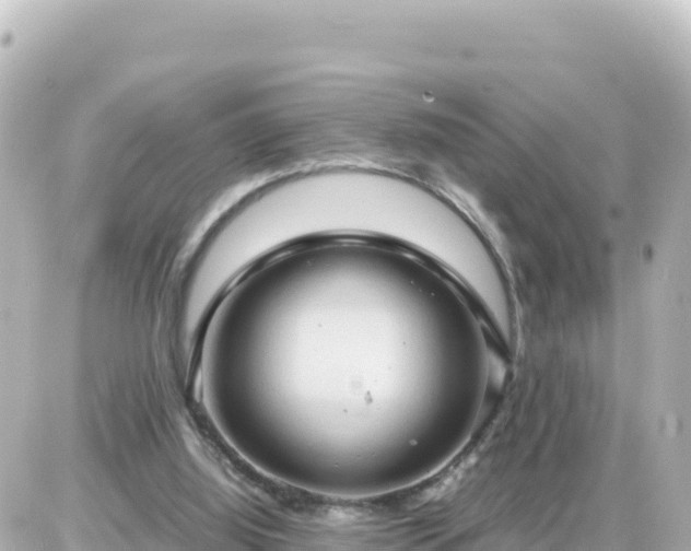 X0000087010060200704231945