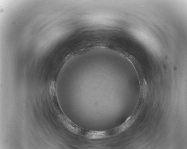 X0000087010093200704231945
