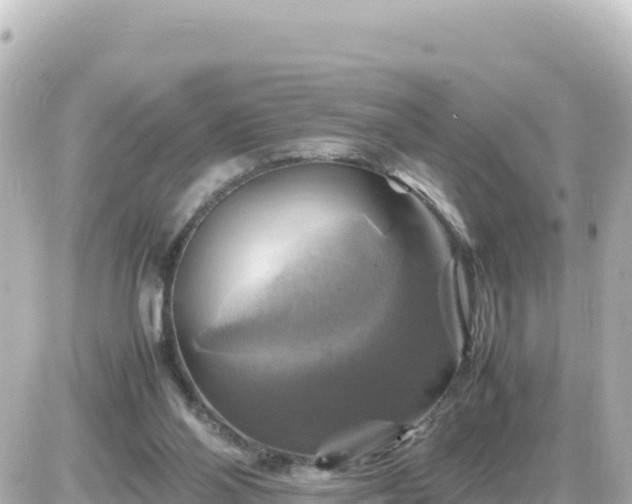 X0000087010110200704231944
