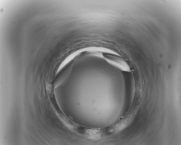 X0000087010139200704231944
