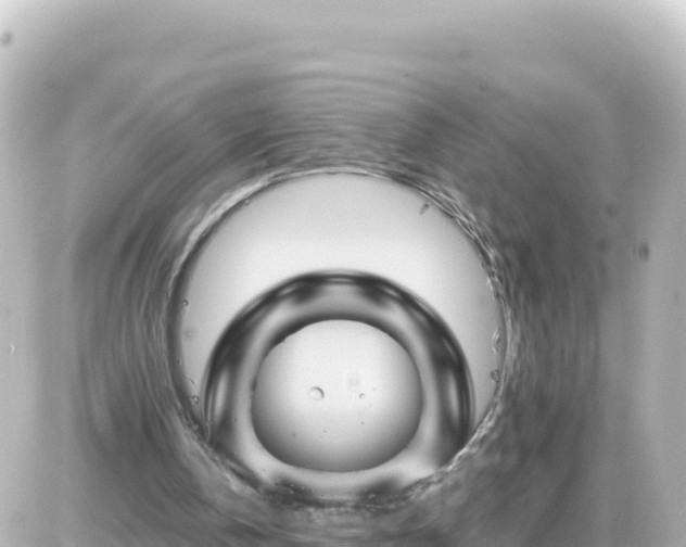 X0000087010146200704231943