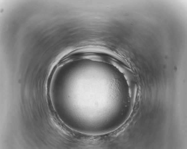 X0000087010148200704231943